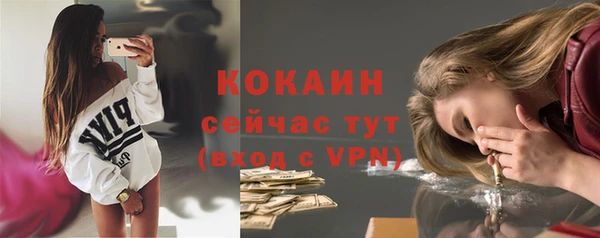 ALPHA PVP Пролетарск