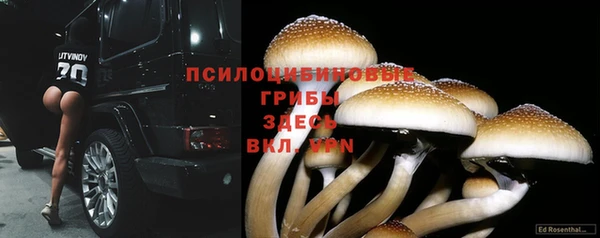 ALPHA PVP Пролетарск