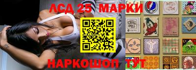 mdpv Славгород