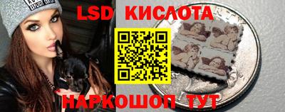 mdpv Славгород