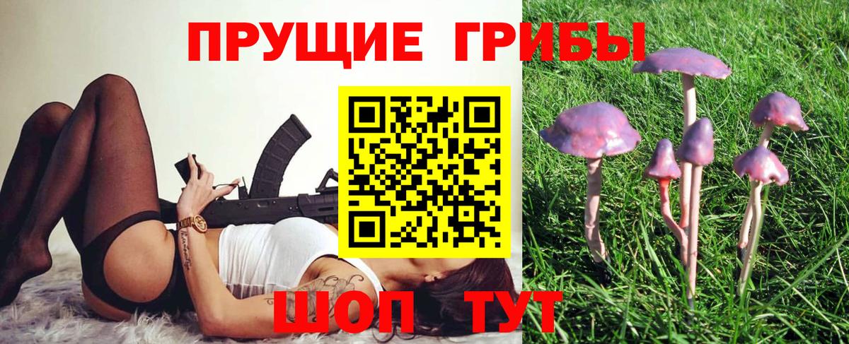 Галлюциногенные грибы MAGIC MUSHROOMS Снежинск