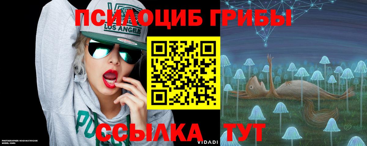 наркошоп  Галлюциногенные грибы ЛСД  Снежинск  Вход с VPN  Псилоцибиновые грибы GOLDEN TEACHER 